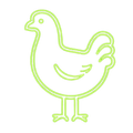 CHICKEN STRIPS